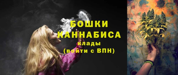 соль курить ск Каменка