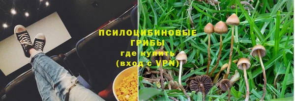 соль курить ск Каменка