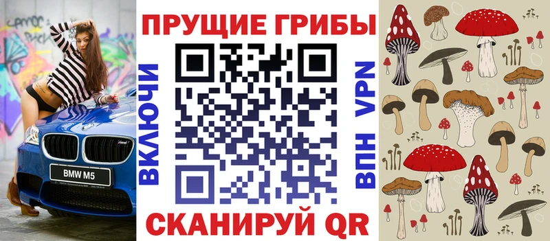 Купить закладки  Жуковка  Галлюциногенные грибы Cubensis 