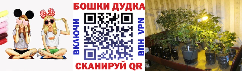Бошки Шишки Ganja  Купить закладки  Жуковка 